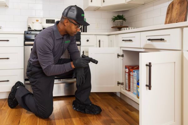 Pest professional inspecting the edge of a kitchen cabinet and floor.